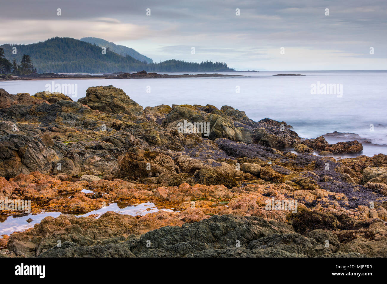 Low full moon tide at Cape Palmerston, Northern Vancouver Island, British Columbi, Canada Stock Photo