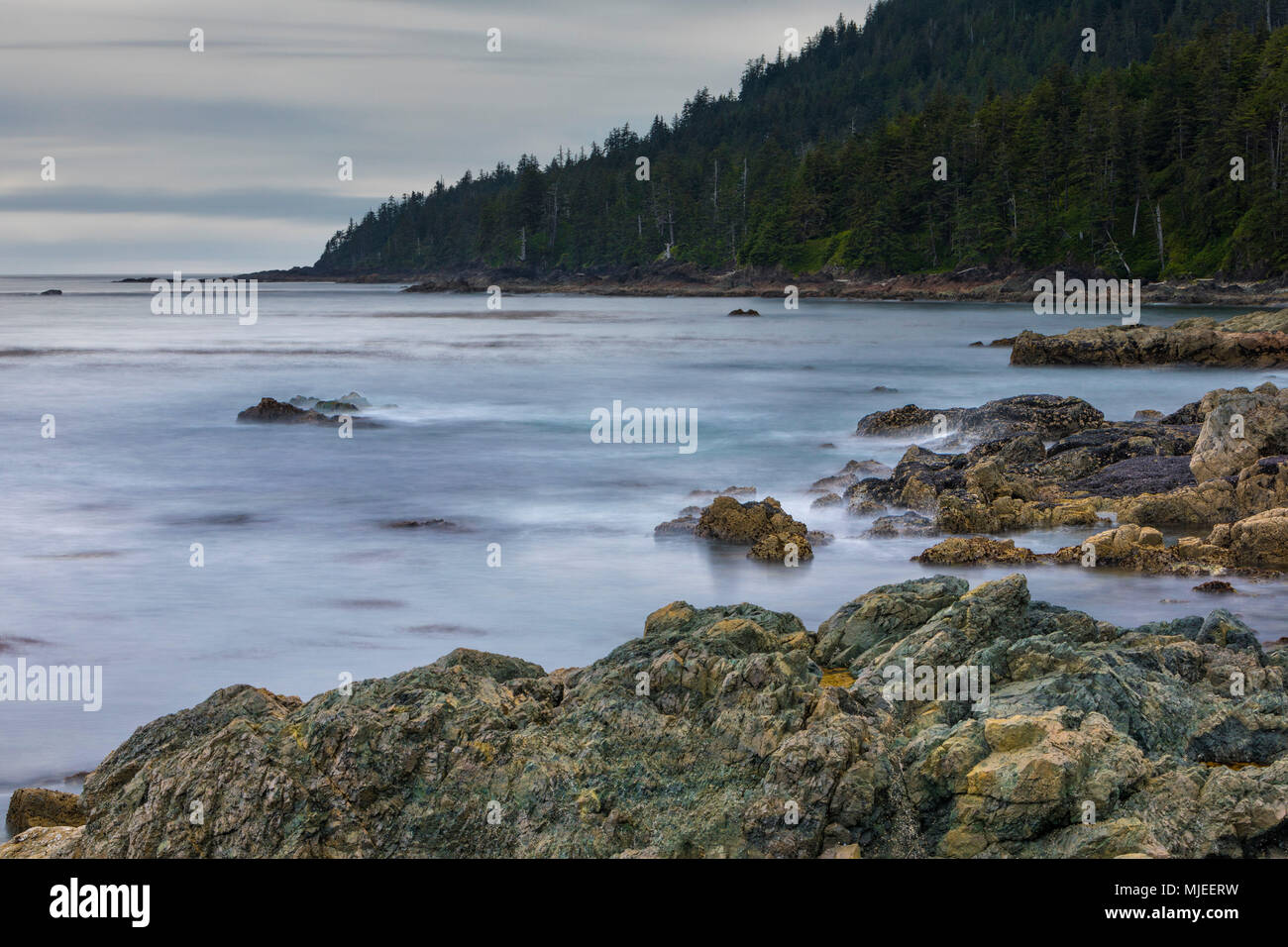 Peaceful cloudy day at Cape Palmerston, Northern Vancouver Island, British Columbi, Canada Stock Photo