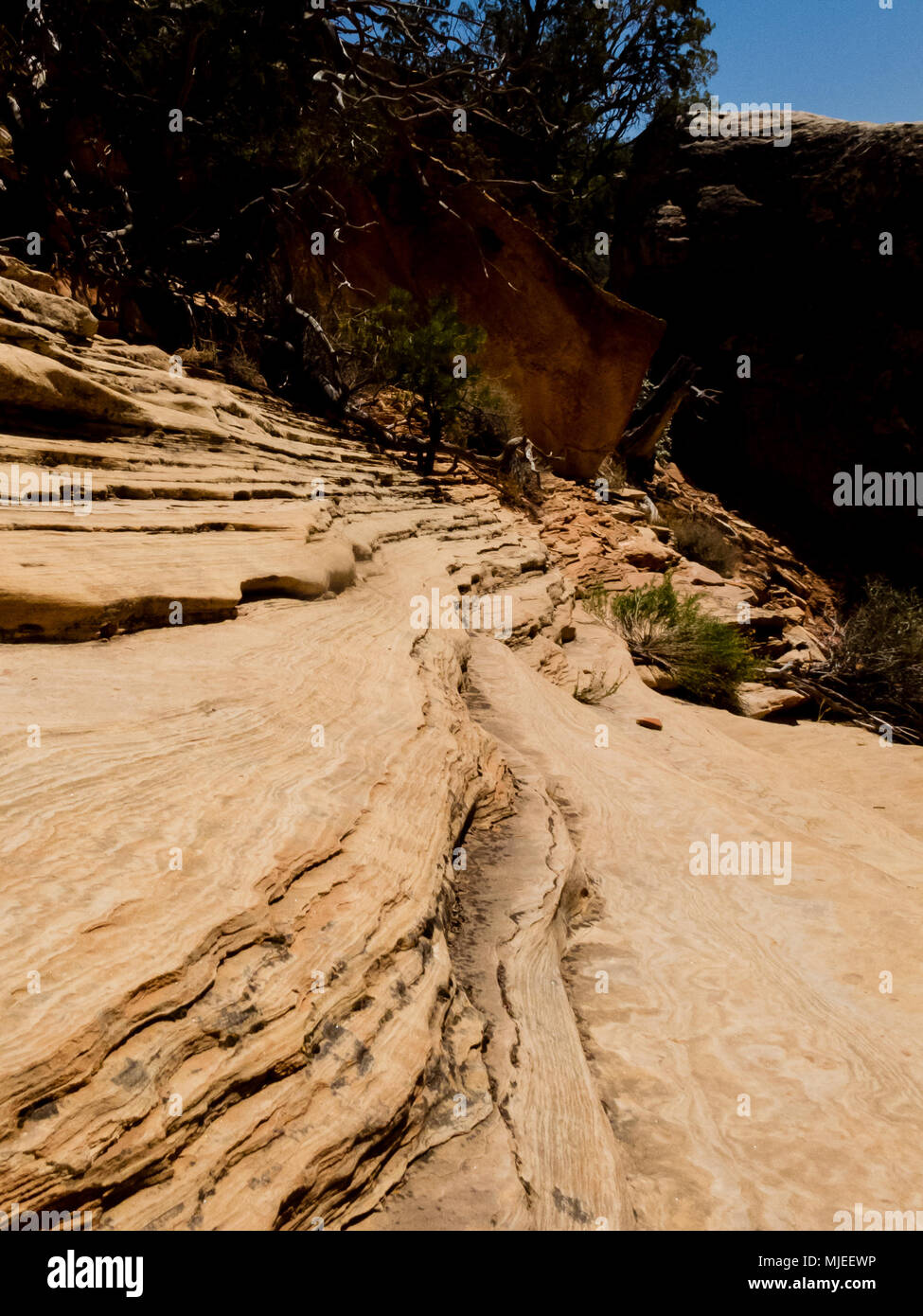 Lithification of sand dunes is the process turning unconsolidated sand