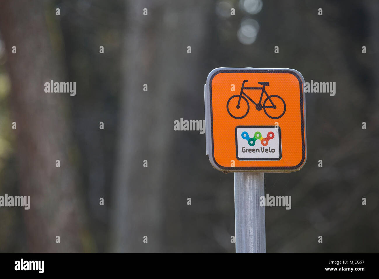 Europe, Poland, Podlaskie Voivodeship, Carska Road - Dobarz, sign, Green Velo bike way Stock Photo