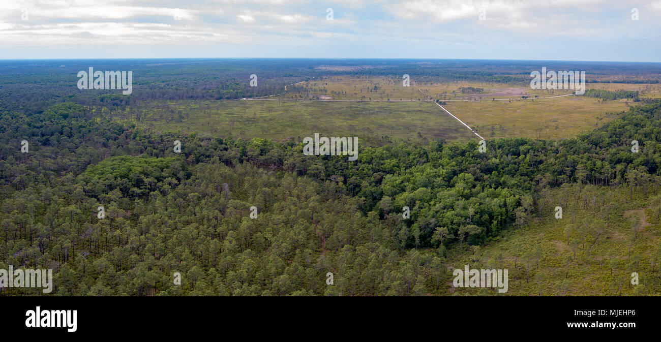 Bull Creek WMA is a preserve for nature and it crisscrossed by hiking
