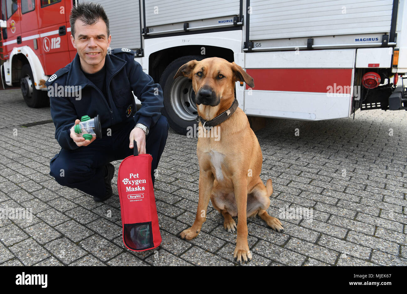 30 April 2018, Germany, Delmenhorst: Holger Klein-Dietz of the Delmenhorst fire service holding a respirator mask for pets next to Dora the dog. The Delmenhorst fire service is one of the first in Germany to have respirator masks for pets. Photo: Carmen Jaspersen/dpa Stock Photo