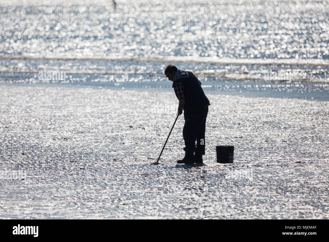 Hastings, East Sussex, UK. 5th May, 2018. UK Weather: Warm start to the morning in Hastings, East Sussex with temperatures in some parts of the country exceeding 20°C. A local fisherman looks for lugworms or sandworms. © Paul Lawrenson 2018, Photo Credit: Paul Lawrenson / Alamy Live News Stock Photo