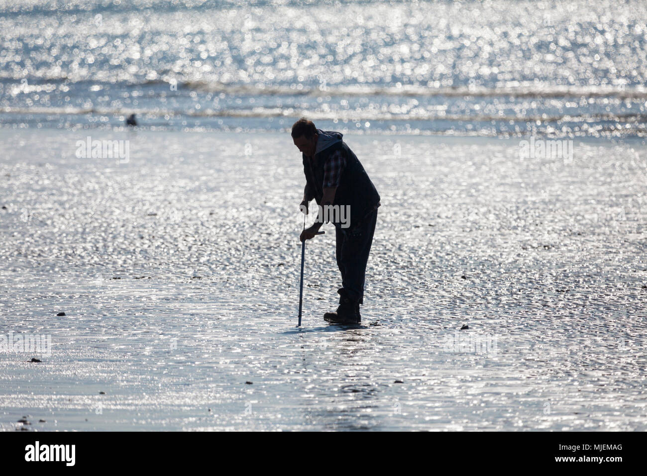 Hastings, East Sussex, UK. 5th May, 2018. UK Weather: Warm start to the morning in Hastings, East Sussex with temperatures in some parts of the country exceeding 20°C. A local fisherman looks for lugworms or sandworms. © Paul Lawrenson 2018, Photo Credit: Paul Lawrenson / Alamy Live News Stock Photo