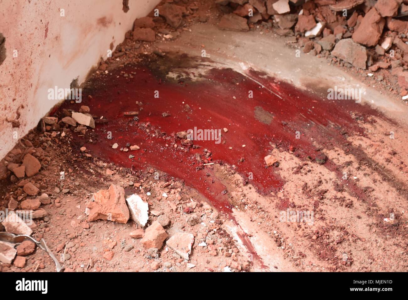 Editors Note Image Contains Graphic Content Blood Scattered Over