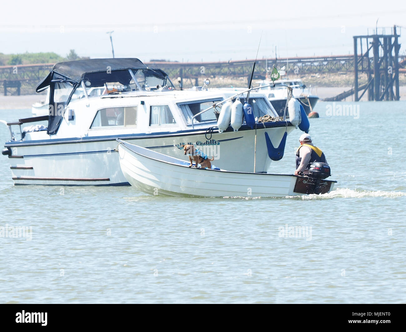 Queenborough, Kent, UK. 5th May, 2018. UK Weather: a sunny and warm day in Queenborough, Kent. A man ferries his dog in a tender. Credit: James Bell/Alamy Live News Stock Photo