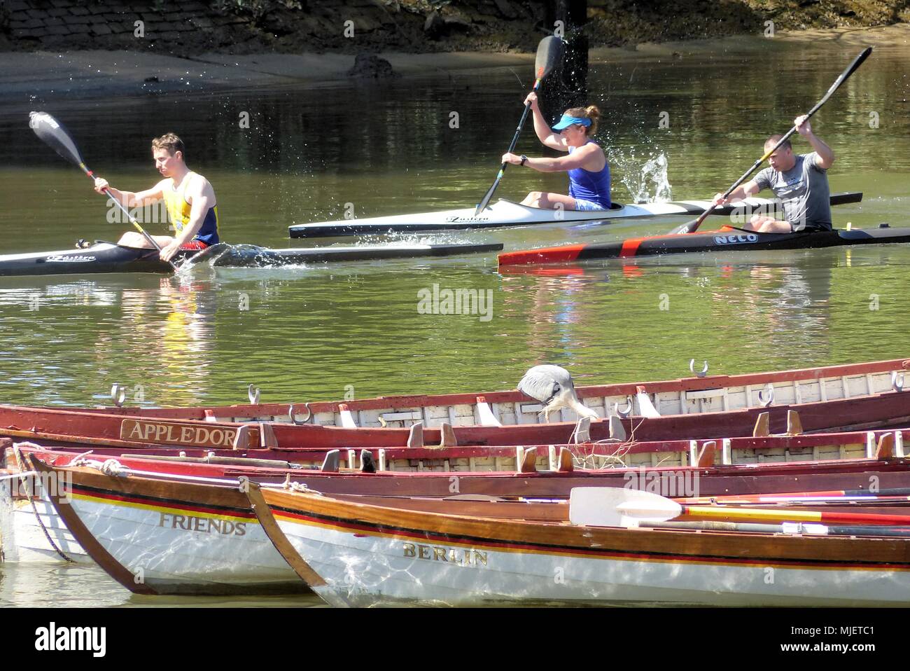 London.UK. 5th May 2018. UK Weather: Canoeists practice in the heat.© Brian Minkoff/Alamy Live News Stock Photo