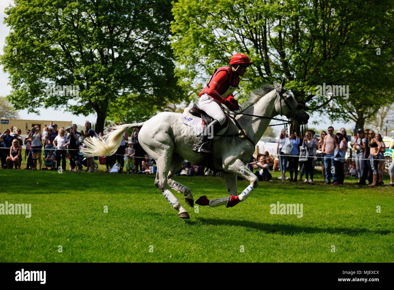 Gloucestershire, UK.5th May 2018. Paul Tapner riding Bonza King Of Rouges during the Cross Country Phase of the 2018 Mitsubishi Motors Badminton Horse Trials, Badminton, United Kingdom. Jonathan Clarke/Alamy Live News Stock Photo