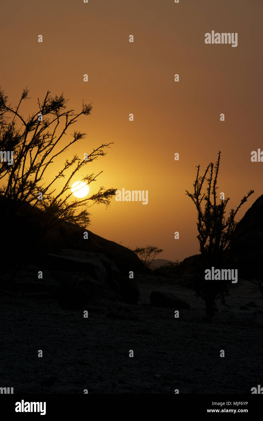 sunset in the desert of Saudi Arabia Stock Photo