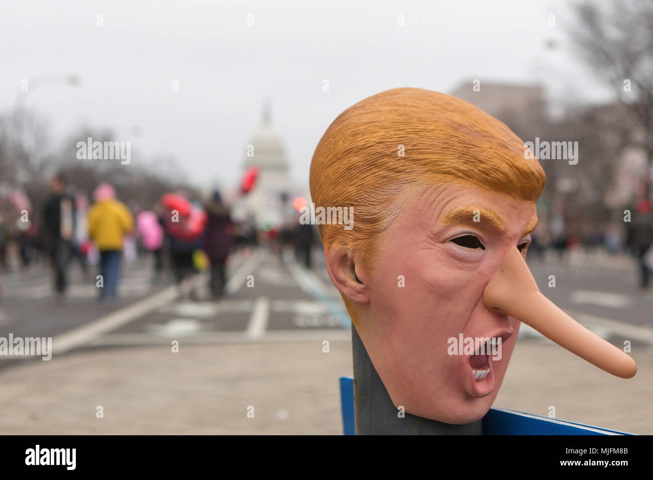 A Donald Trump mask during the Women's March on Washington in Washington, DC on January 21, 2017. Stock Photo
