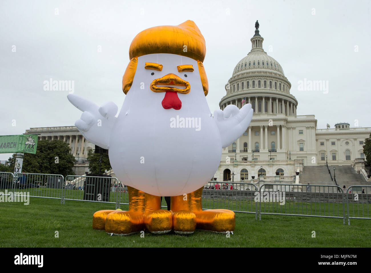 An inflatable chicken in front of the U.S. Capitol prior to the Tax March, an effort to encourage President Donald Trump to release his taxes in Washington, D.C. on April 15th, 2017. Stock Photo
