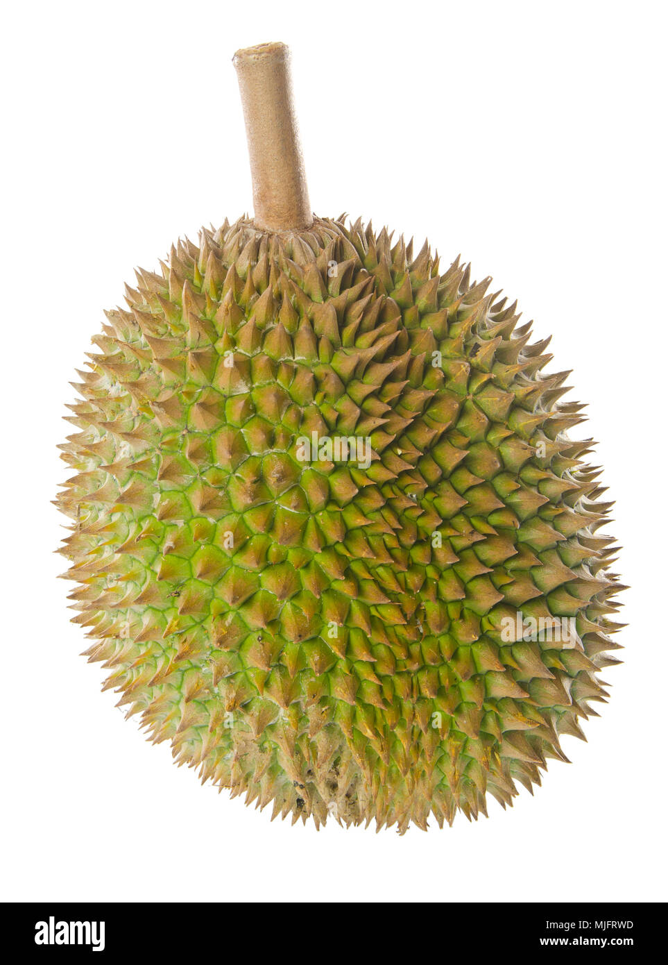 Durian, the king of fruits in South East Asia on background Stock Photo