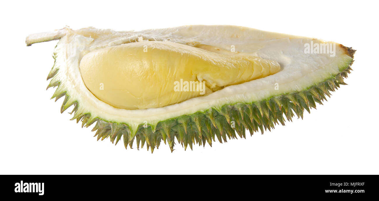 Durian, the king of fruits in South East Asia on background Stock Photo