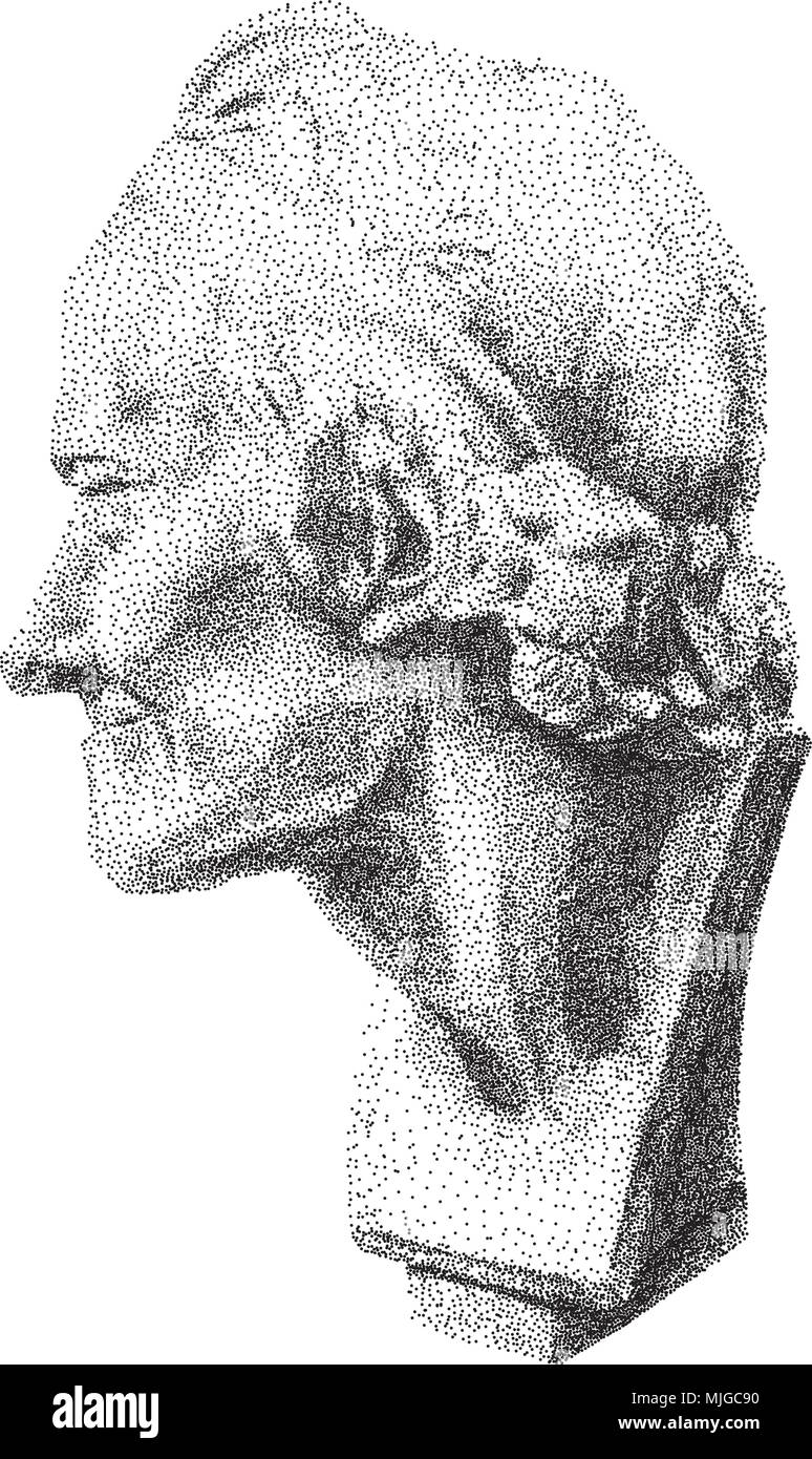 Portrait Of Voltaire Digital Pointillism Voltaire S Plaster Head