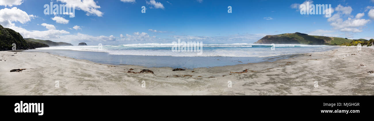 Panoramic view of the sandy Allans Beach on New Zealand's Otago Peninsula, with blue sky Stock Photo