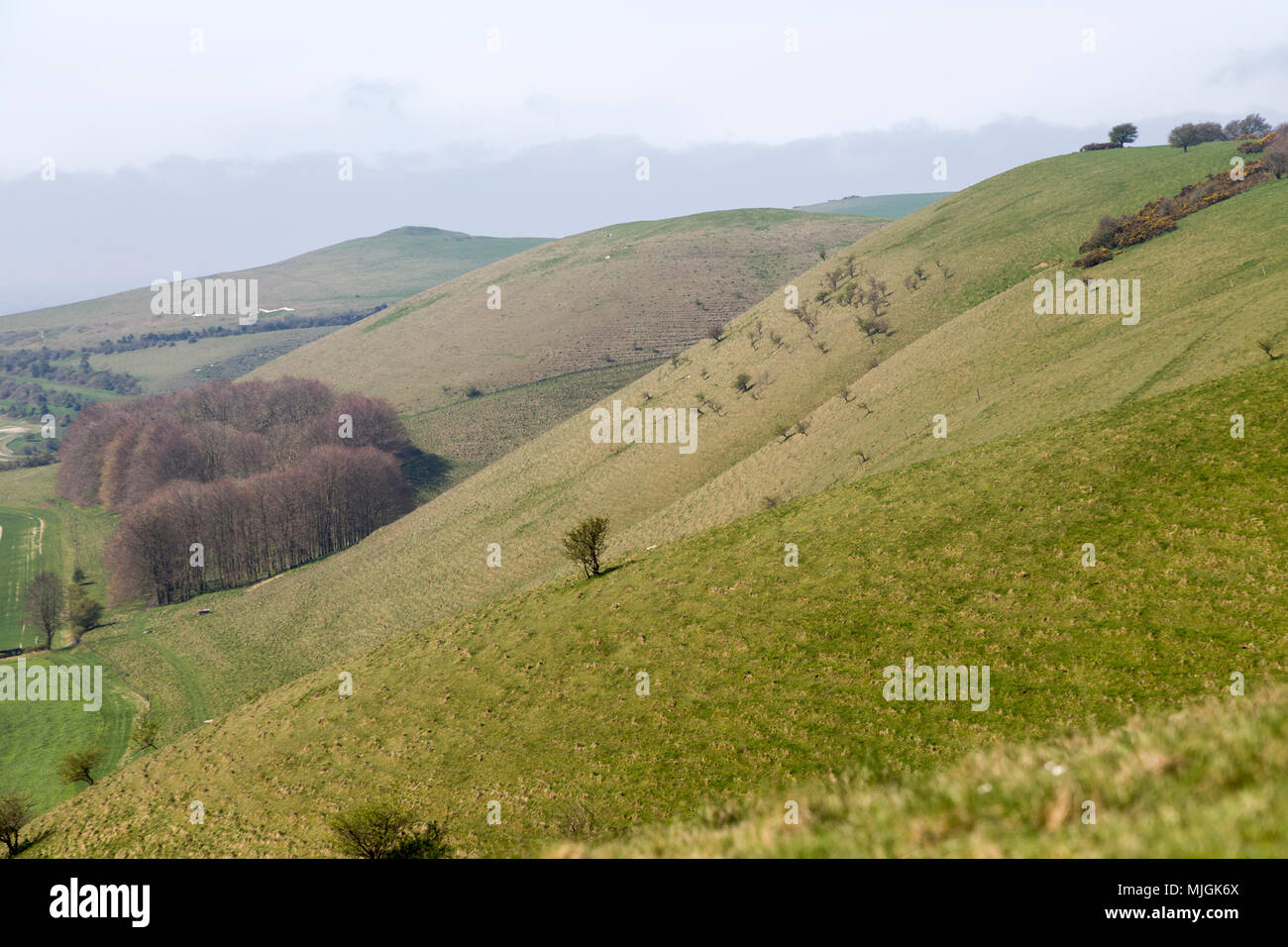 Fog clearing from chalk downs scarp slope Pewsey Vale, near Knap Hill, Alton Barnes, Wiltshire, England, UK Stock Photo
