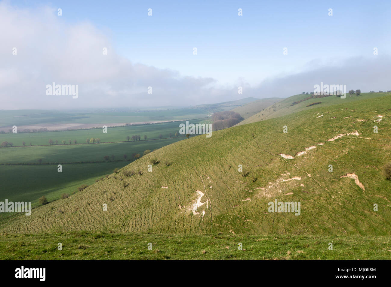 Fog clearing from chalk downs scarp slope Pewsey Vale, near Knap Hill, Alton Barnes, Wiltshire, England, UK Stock Photo