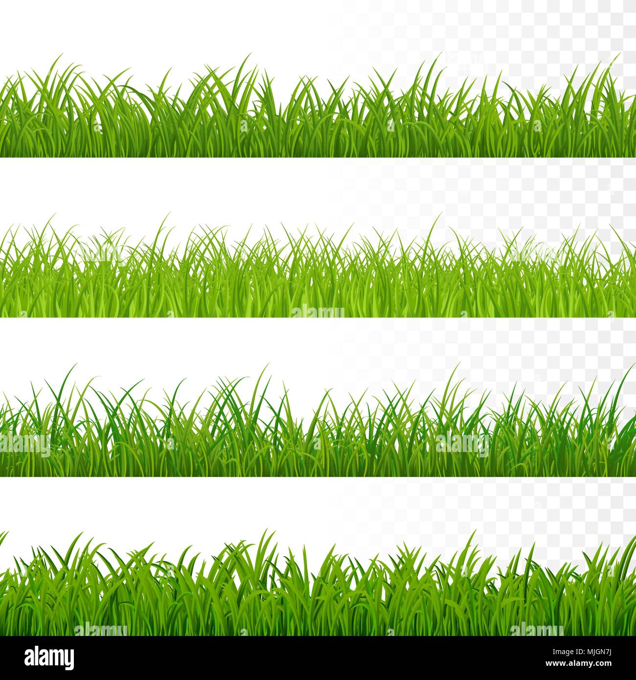 Seamless gorisontal grass border. Green grass pattern. Grass texture elements. Vector illustration isolated on white Stock Vector