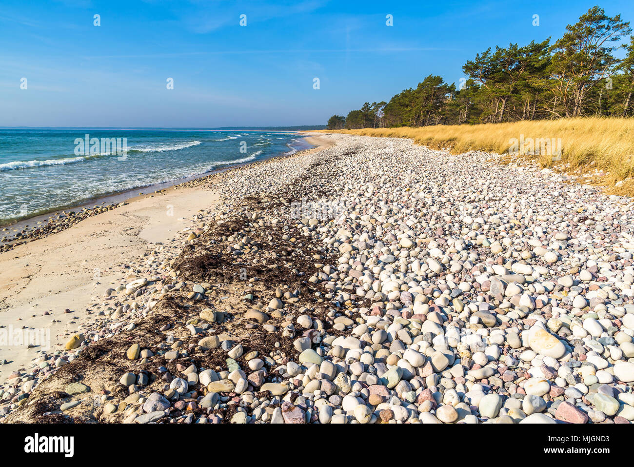 Boda coast eastern nature reserve on Oland, Sweden. Zones of naturally polished stones and sand followed by grass and then pine trees is typical of th Stock Photo