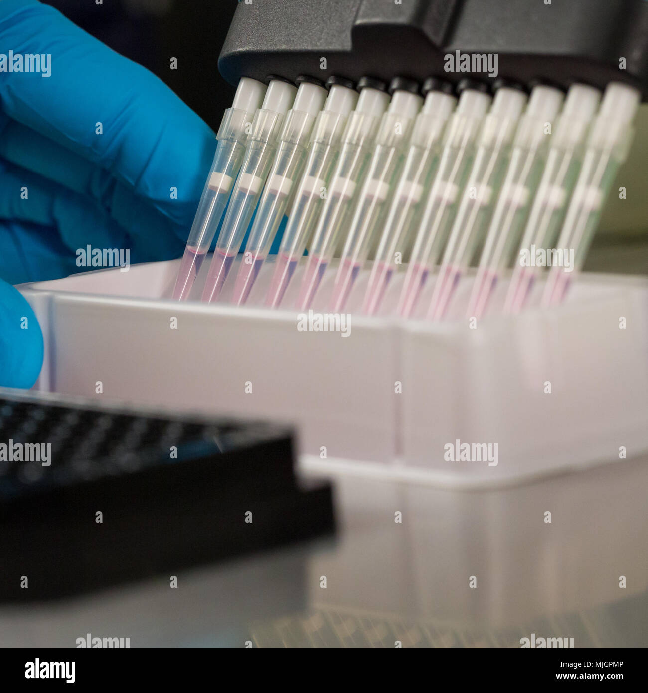 Pipette tips hires stock photography and images Alamy