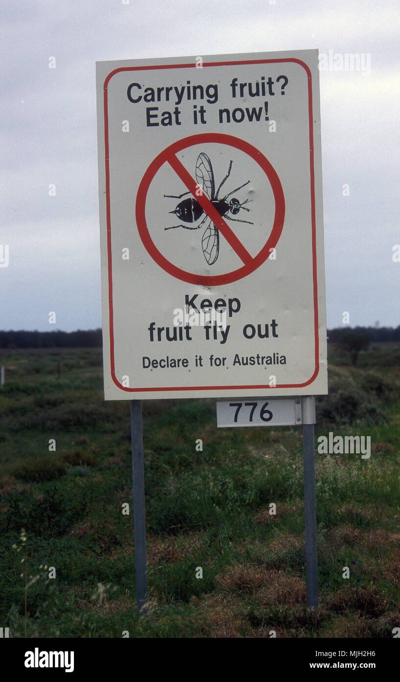 Fruit fly sign, Australia. The Queensland fruit fly (Bactrocera tryoni) is a species of tephritid fruit fly native to Australia. Stock Photo