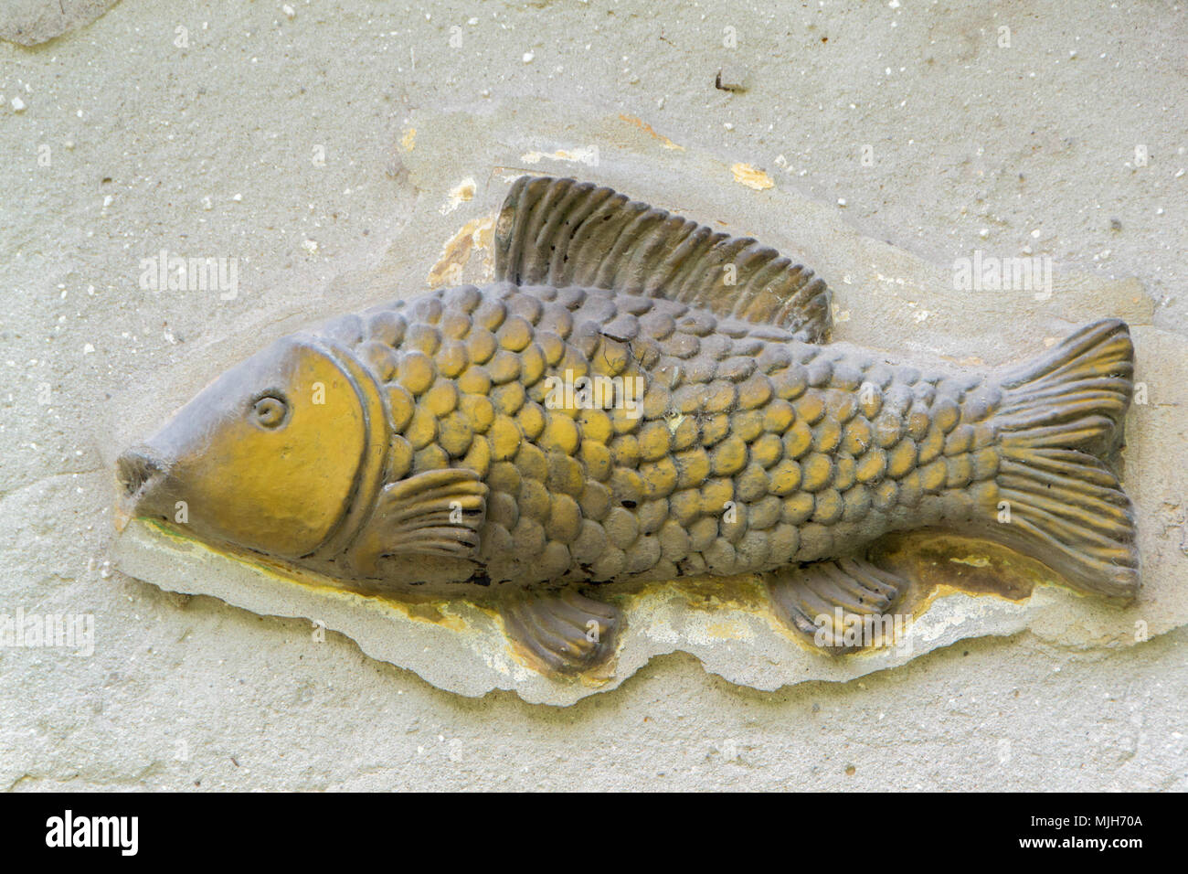 Fish, coat of arms on a very old house Stock Photo Alamy