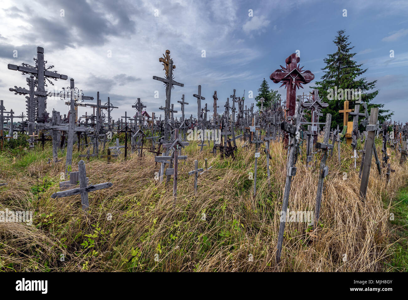 Crosses on a meadow next to Hill of Crosses in Lithuania Stock Photo