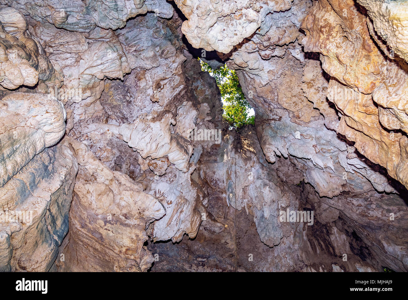 Limestone cave natural rock formations close up view at Baratang island