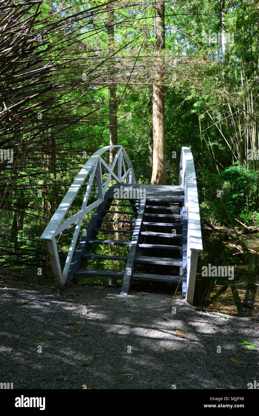 Swamp lands in Charleston, South Carolina Stock Photo Alamy
