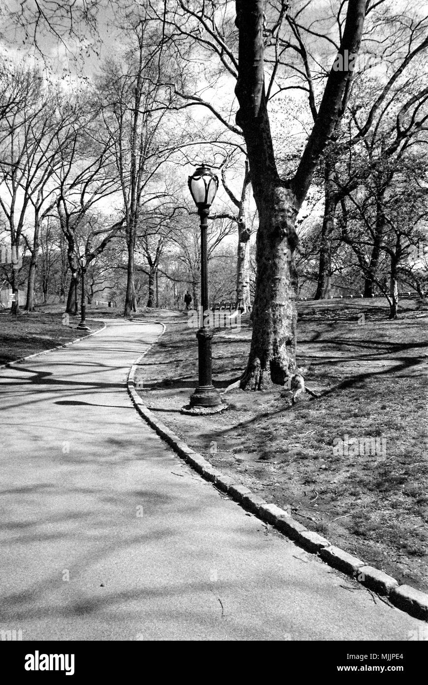 Central Park , New York City, United States of America Stock Photo Alamy