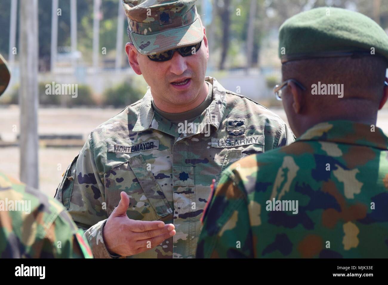 United States Army Africa is the Army service component command ...