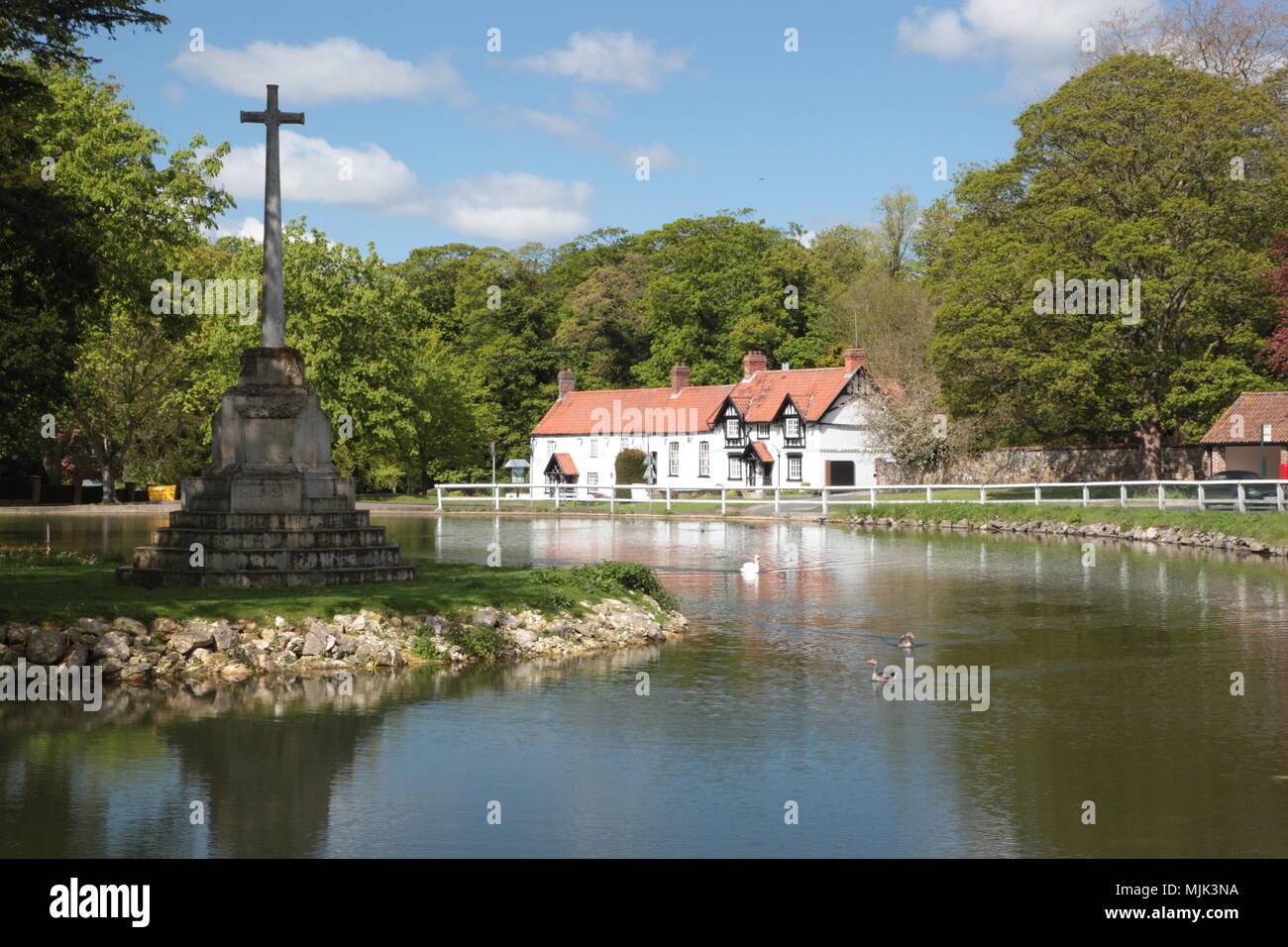 burton, village pond, east yorkshire Stock Photo Alamy
