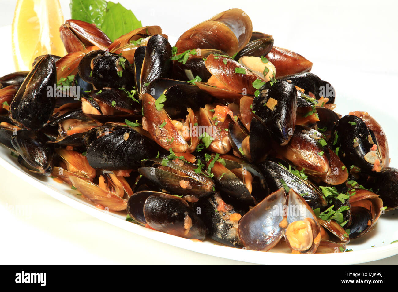 cooked clams, mussels on a plate Stock Photo