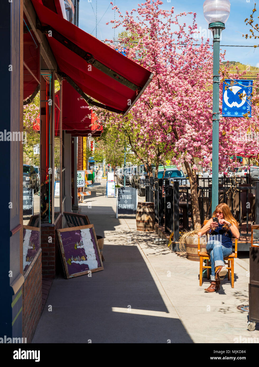 Proprietor of Eye Candy; retail shop; sits under Japanese cherry tree in full springtime bloom; Prunus serrulata; sakura; Salida; Colorado; USA Stock Photo