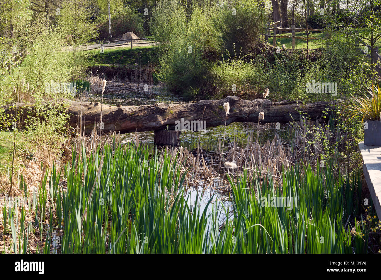 Recreation parks hi-res stock photography and images - Alamy