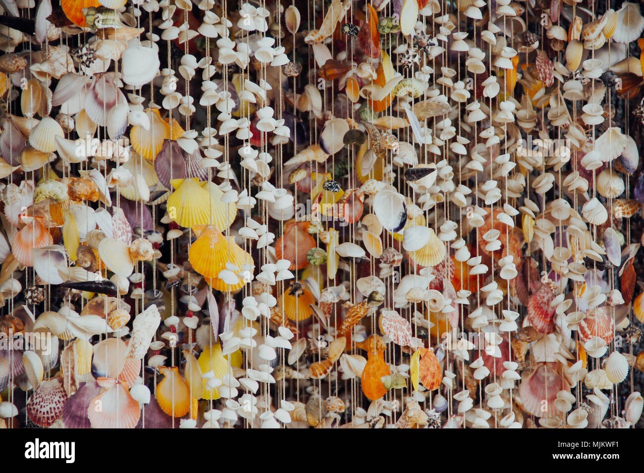 curtain of sea shells for decoration local Bali Stock Photo