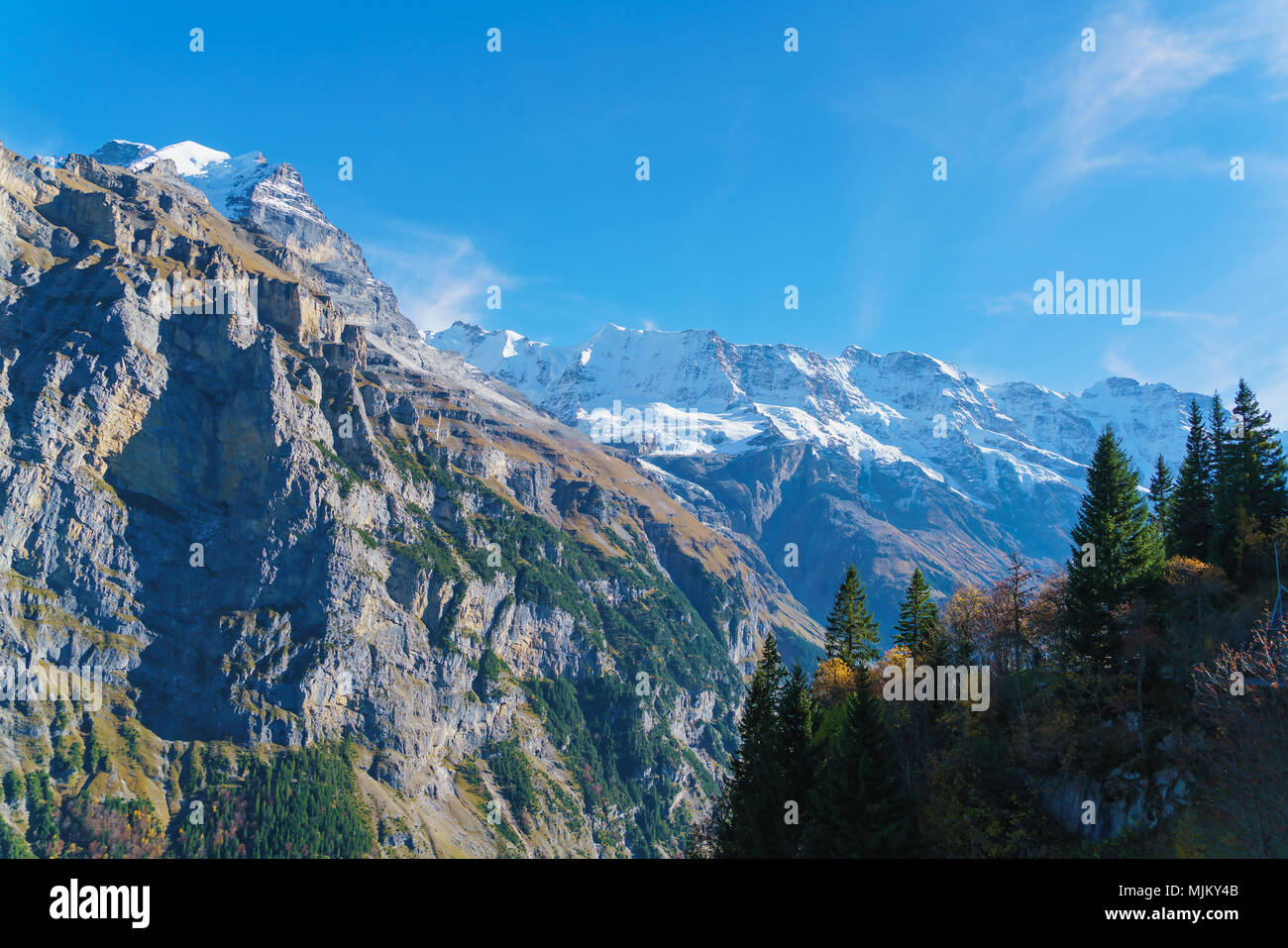 Jungfrau mountain in Alps as seen from Murren village, Berner Oberland ...