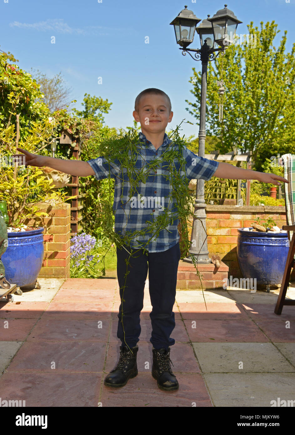 Allergic Contact Dermatitis High Resolution Stock Photography and