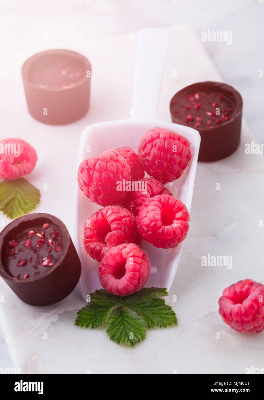 Uk Raspberry Candy Scoop with fresh raspberries and luxury chocolate candy on marble board ...