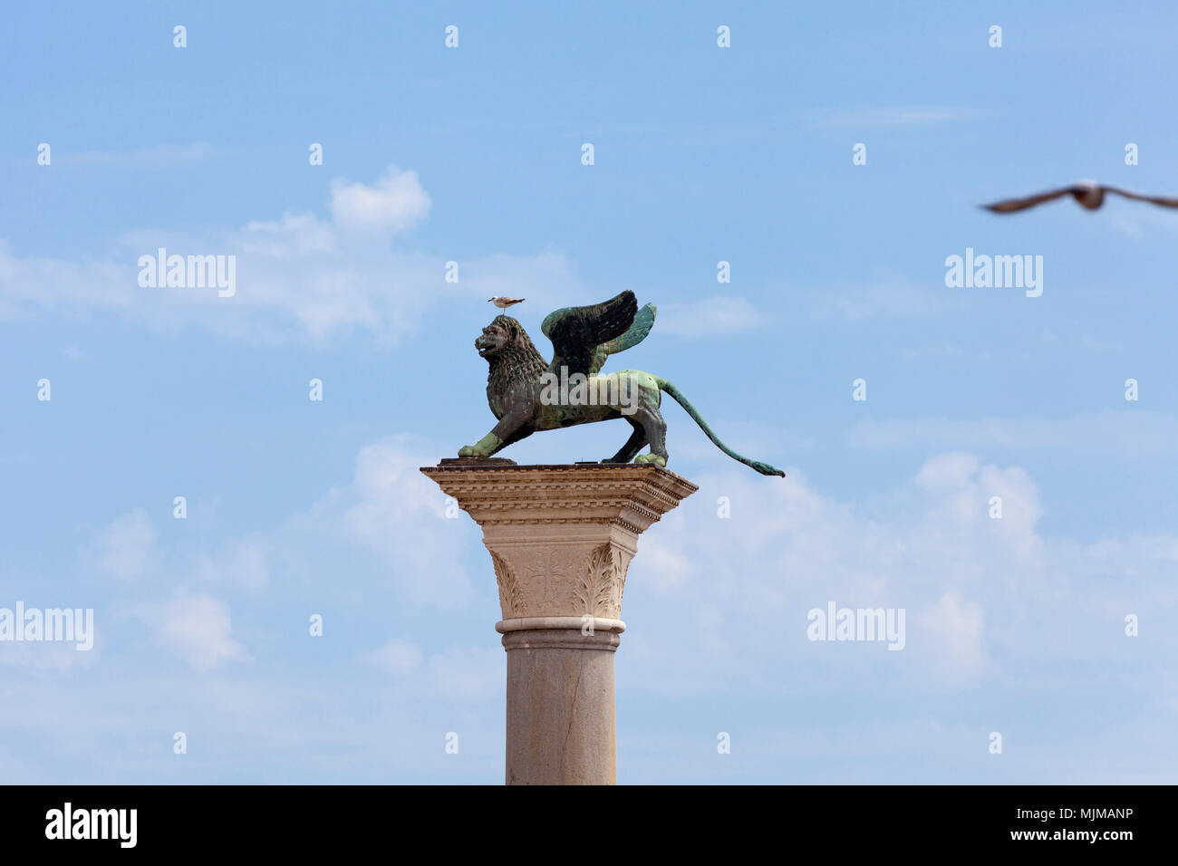 Statue of winged lion with seagulls, St Marks Square, Venice Stock Photo