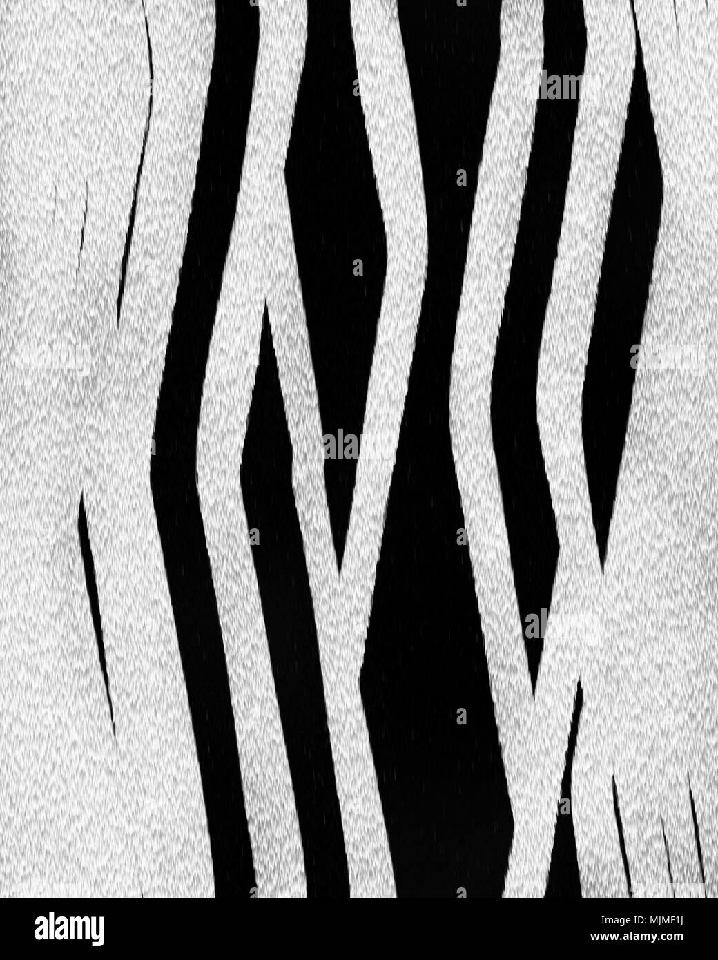 Zebra Pattern  in Black And White . Imitation animal skin. Illustration. Stock Image. Stock Photo