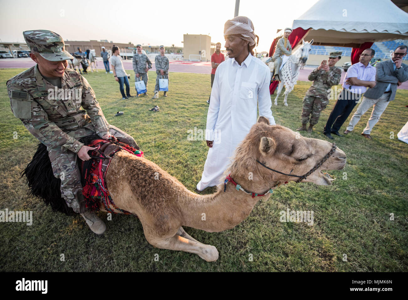 Air force 2025 basse camel