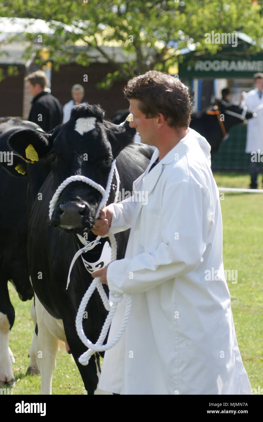 Driffield show, The Showground, country fair, Driffield, UK Stock Photo