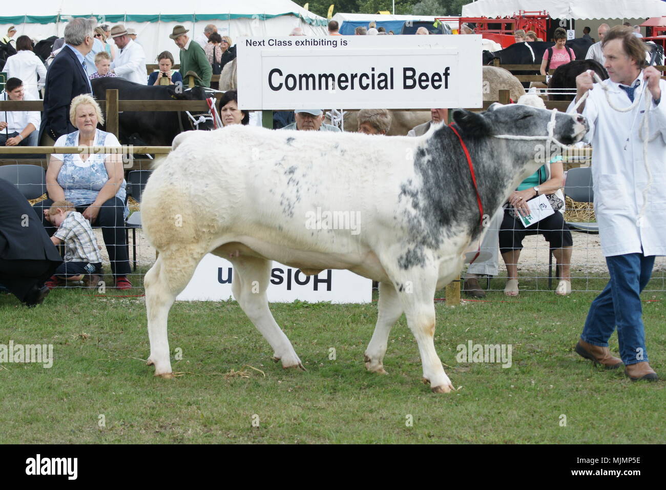 Driffield show, The Showground, country fair, Driffield, UK Stock Photo