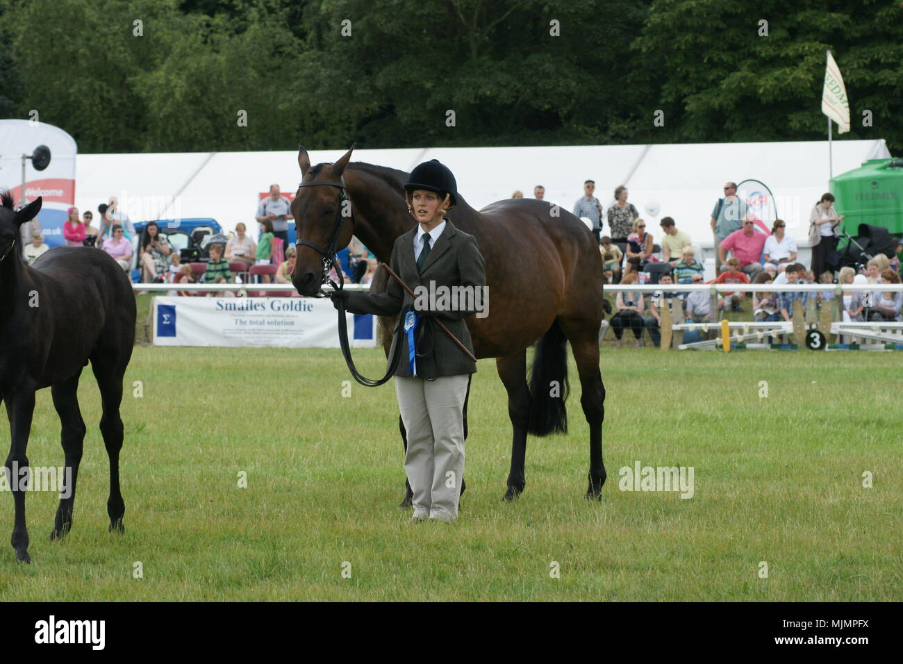 Driffield show, The Showground, country fair, Driffield, UK Stock Photo