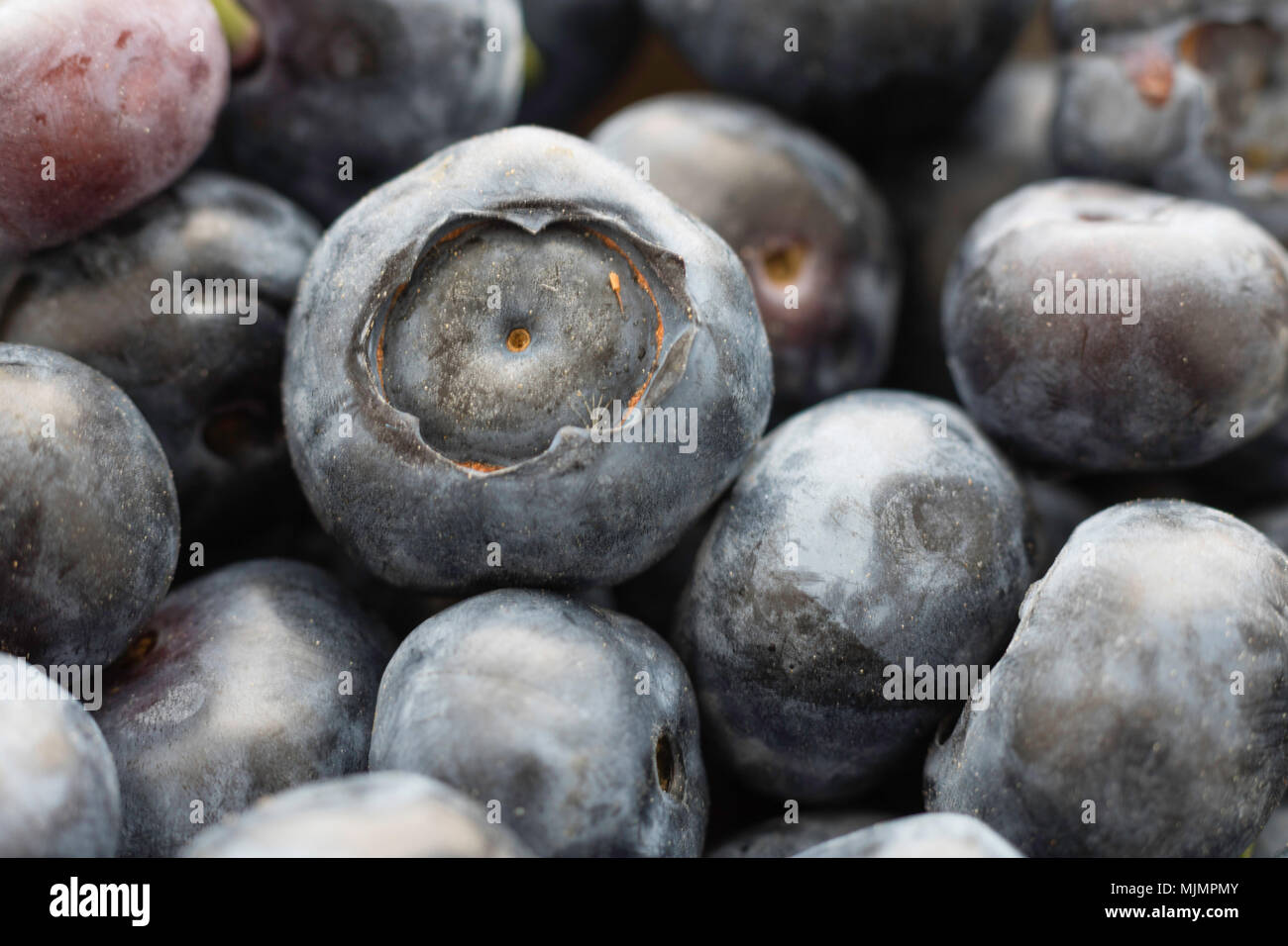 Fresh Juicy Blueberries Background, Closeup, Healthy Eating Concept Stock Photo