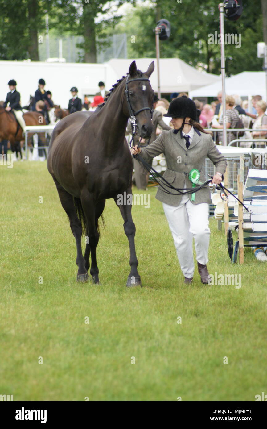 Driffield show, The Showground, country fair, Driffield, UK Stock Photo