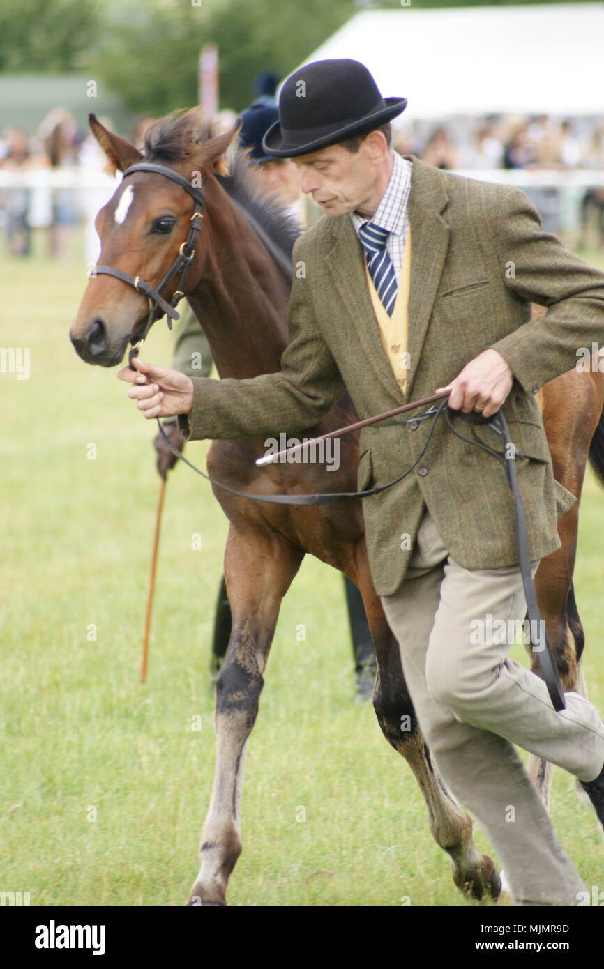 Driffield show hires stock photography and images Alamy