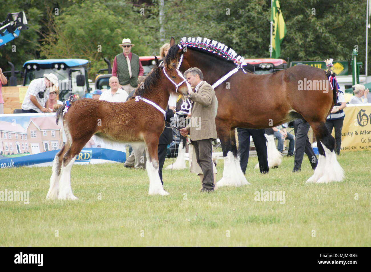 Driffield show, The Showground, country fair, Driffield, UK Stock Photo