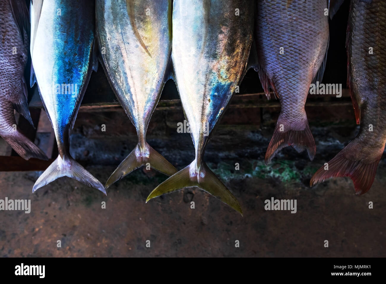 Tuna tail hires stock photography and images Alamy